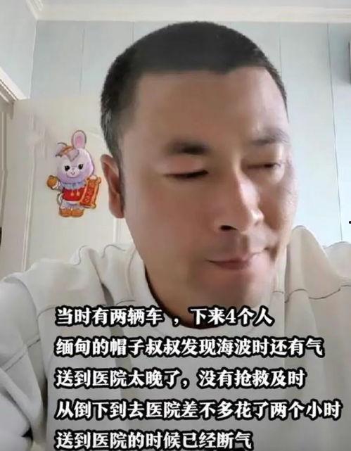 爆料缅甸网红视频播放,揭秘幕后播放量背后的秘密